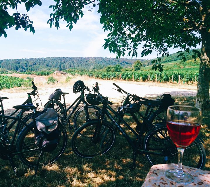 Dijon: Bike tour and Tastings in the Vineyards of Burgundy - Fixin and Brochon, old stones beside the vines