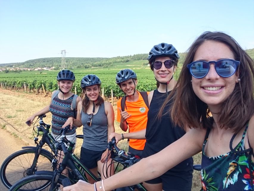Dijon: Bike tour and Tastings in the Vineyards of Burgundy - Marsannay-la-Côte and the first vineyard views