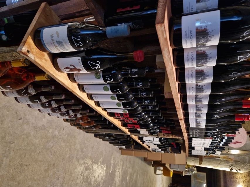 Dijon: Burgundy Wines Masterclass - Six wines, two colors, many comparisons
