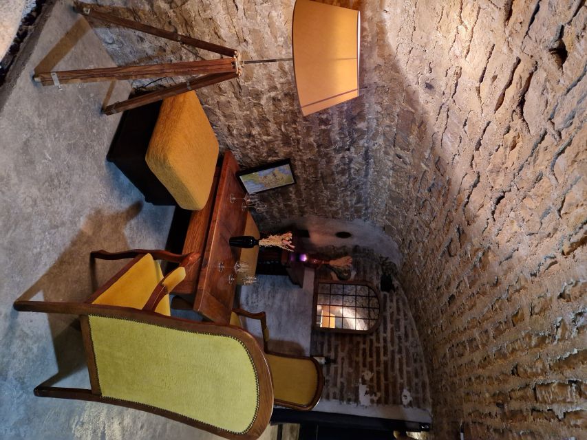 Dijon: Burgundy Wines Masterclass - Food pairing with cheese, meats, and local flavor