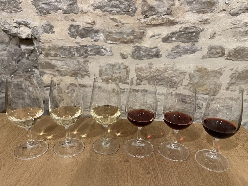 Dijon: Cheese and Burgundy Wine Tasting Workshop - Key points to know before booking