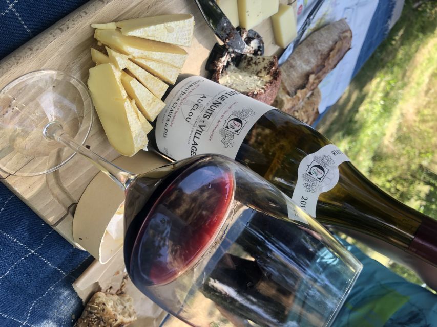 Dijon: Cheese and Burgundy Wine Tasting Workshop - Group size, pace, and atmosphere