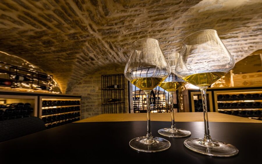Dijon: La Cave du Palais Burgundy Wine Tasting Experience - Why climate, terroir, and vintage matter