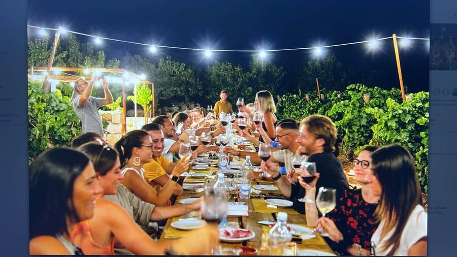 Dinner in the vineyard and wine tasting under the stars - Key points to know before booking