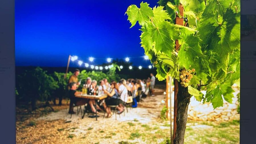 Dinner in the vineyard and wine tasting under the stars - Meeting Giorgio and Vincenzo at Vigna il Castagno