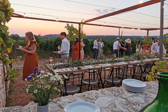 Dinner in the vineyard with wine tasting and walk - Key things to know before booking