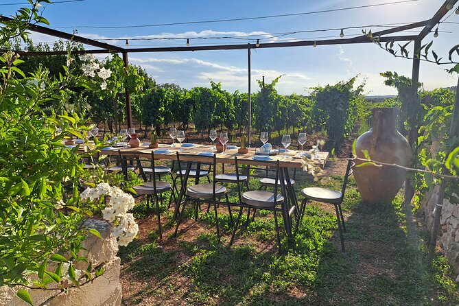 Dinner in the vineyard with wine tasting and walk - A vineyard evening in the Itria Valley