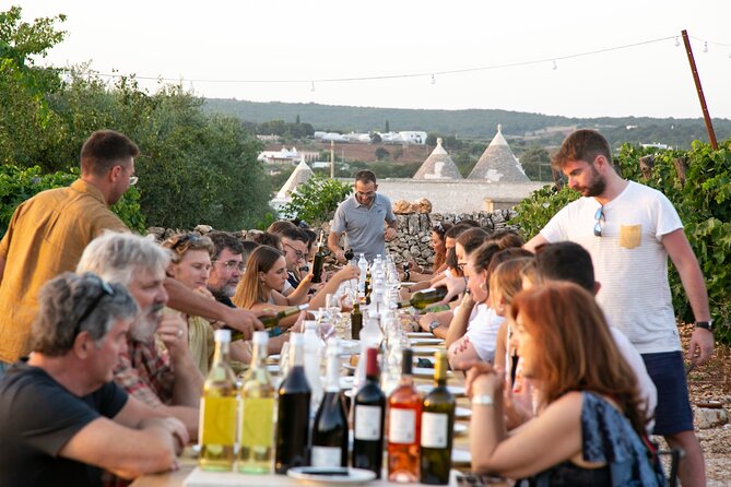Dinner in the vineyard with wine tasting and walk - Dessert and rosoli to finish