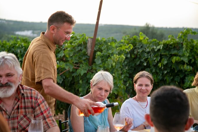 Dinner in the vineyard with wine tasting and walk - Price and practical value at $71.20