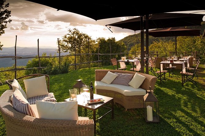 Discover Sustainable Wines in a Guided Tour and Tasting - What the sustainable focus adds