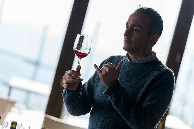 Discover Sustainable Wines in a Guided Tour and Tasting - Three organic wines with Tuscan food