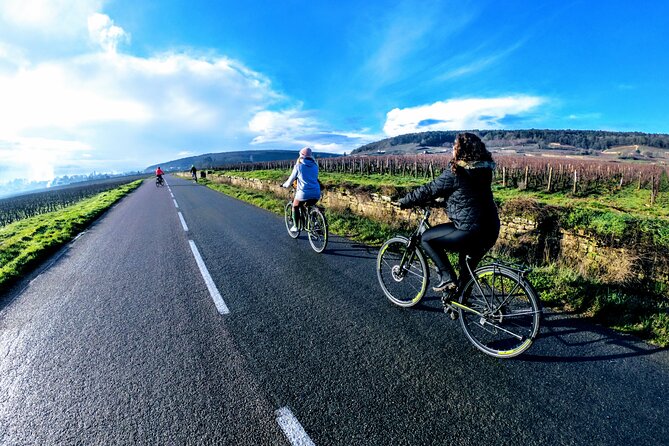 Discovery by bike & Tasting in the vineyards - Marsannay-la-Côte brings the wine map to life