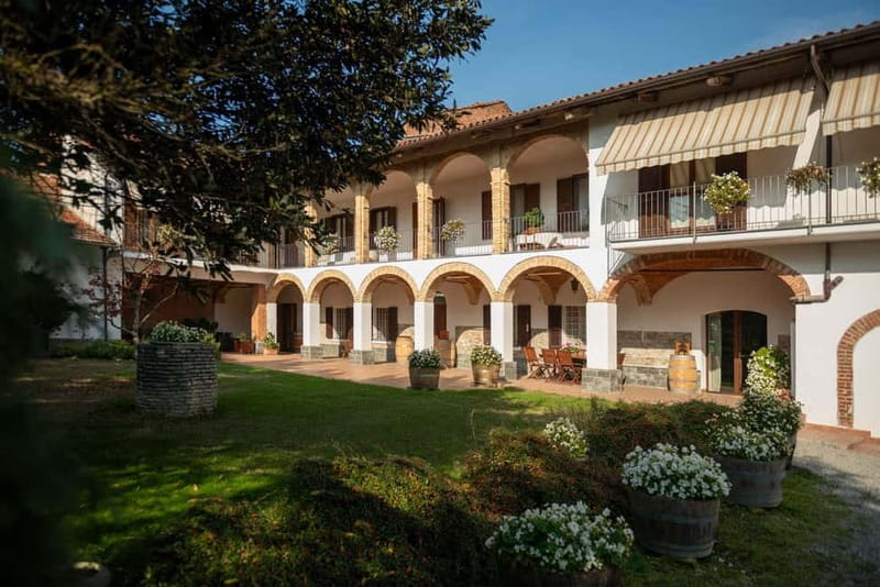 Dogliani: Tasting of 7 Wines in the Heart of the Langhe - Why the food pairings matter