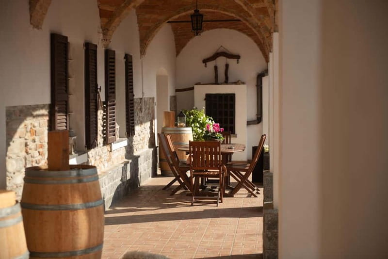 Dogliani: Tasting of 7 Wines in the Heart of the Langhe - From vineyard grapes to labeled bottles