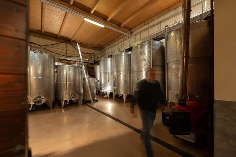 Dogliani: Tasting of 7 Wines in the Heart of the Langhe - Beatrice and the human side of the visit