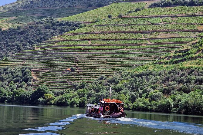 Douro Valley-Expert Guide-Boat-Lunch-Tastings-Offer wine bottle - Key points at a glance