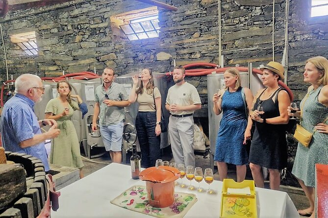 Douro Valley-Expert Guide-Boat-Lunch-Tastings-Offer wine bottle - The Torguiano viewpoint above the Douro