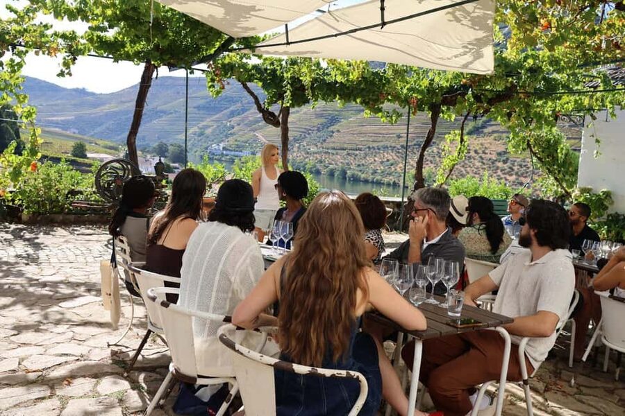 Douro Valley: Half-Day, with 1 winery & 1-h boat tour - Who should book this Douro Valley tour?
