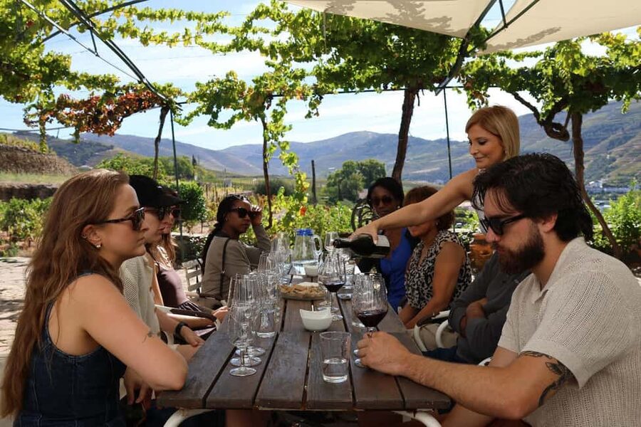 Douro Valley: Half-Day, with 1 winery & 1-h boat tour - The road from Porto to the Douro