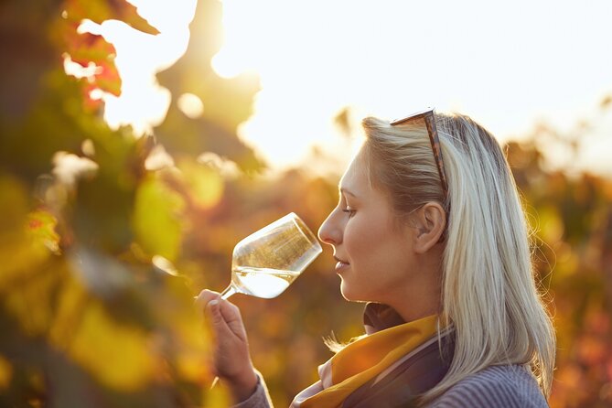 Douro Valley: Historical Sites, Wine Experience, Lunch & Cruise - Weather, Language, and Pace