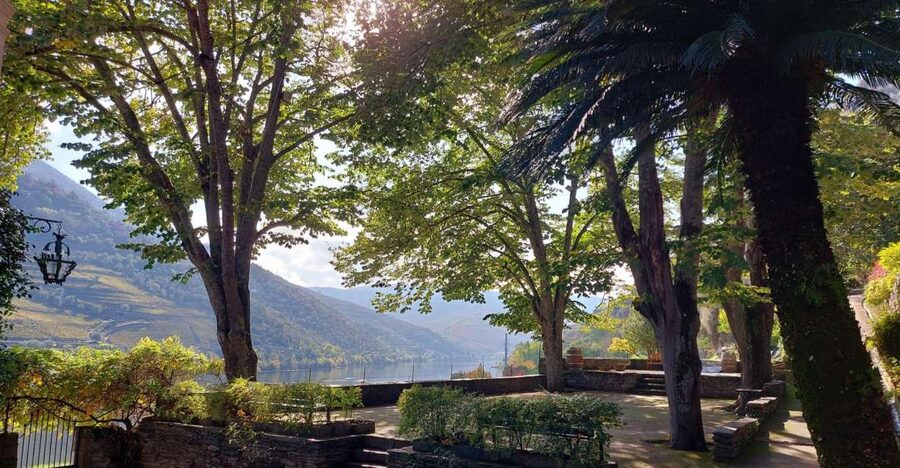 Douro Valley: (Pinhão) Quinta da Foz - Tour&Tasting 5 WINES - Why the Location Works for a Day Trip