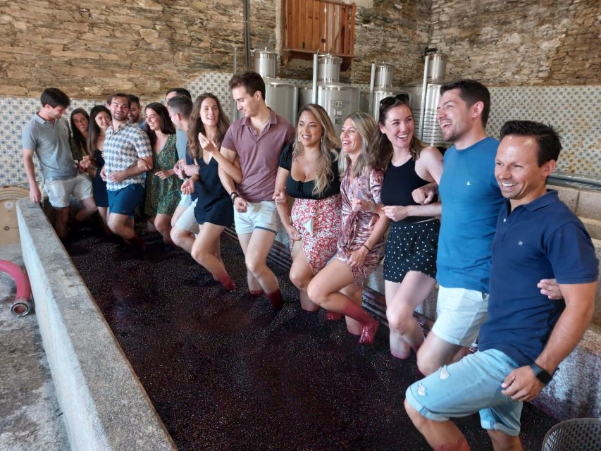 Douro Valley: (Pinhão) Quinta da Foz - Tour&Tasting 5 WINES - The Cellar and Its Large Casks