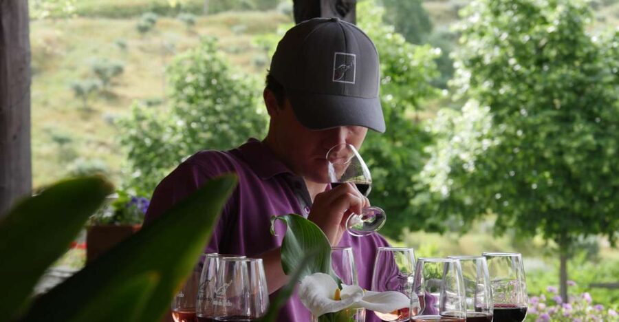 Douro Valley: Premium Port Tasting Winery Tour & River Views - Key points to know