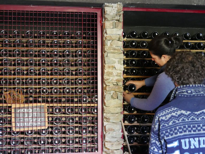 Douro Valley: Premium Port Tasting Winery Tour & River Views - Why this Douro winery visit is worth your time