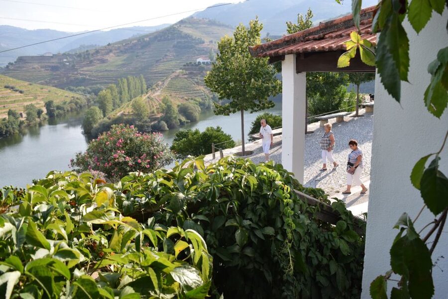 Douro Valley: Premium Port Tasting Winery Tour & River Views - Inside the 18th-century cellars
