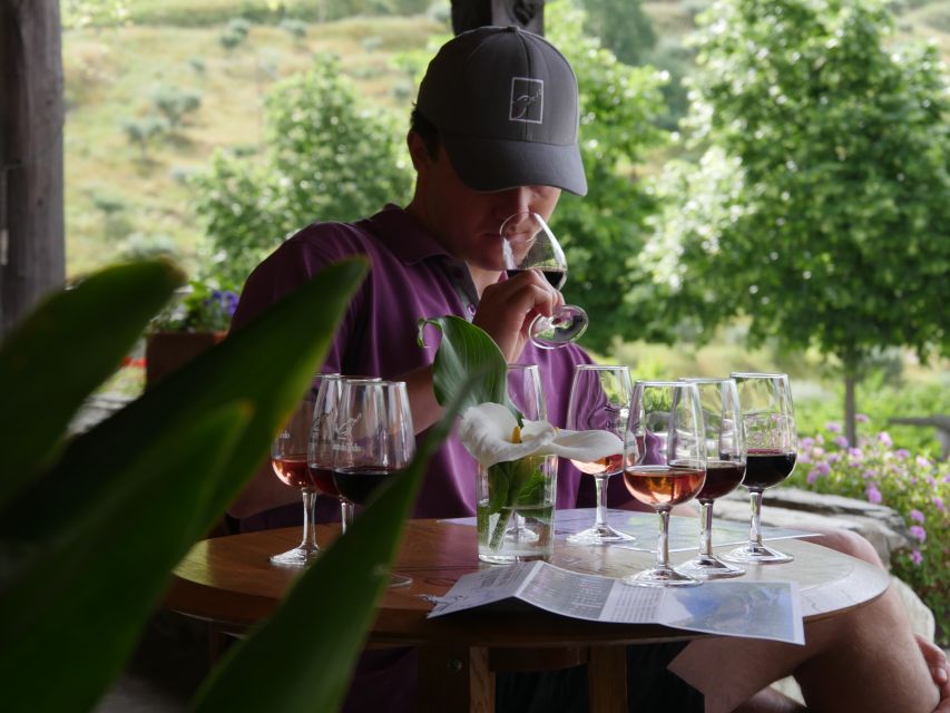 Douro Valley: Premium Port Tasting Winery Tour & River Views - Finding the winery between Régua and Pinhão