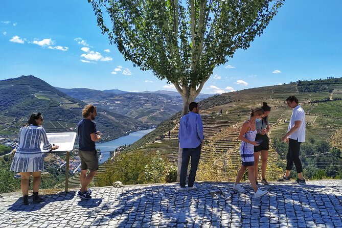 Douro Valley Prime Tour: Wine Tastings, Boat & Lunch from Porto - A Quiet Hour on the Douro