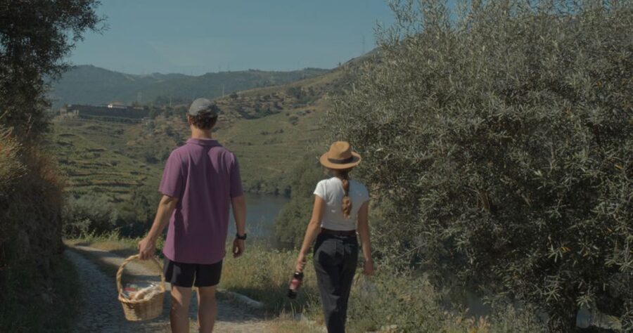 Douro Valley: Quinta do Tedo Wine Experience with Picnic - Heat, rain, and practical comfort