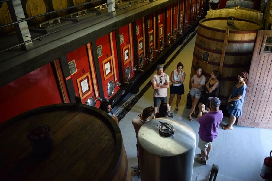 Douro Valley: Quinta do Tedo Wine Experience with Picnic - Who will enjoy Quinta do Tedo most?