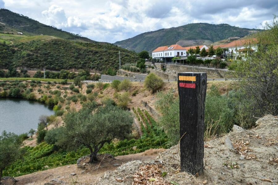 Douro Valley: Quinta do Tedo Wine Experience with Picnic - Starting at the Quinta do Tedo reception