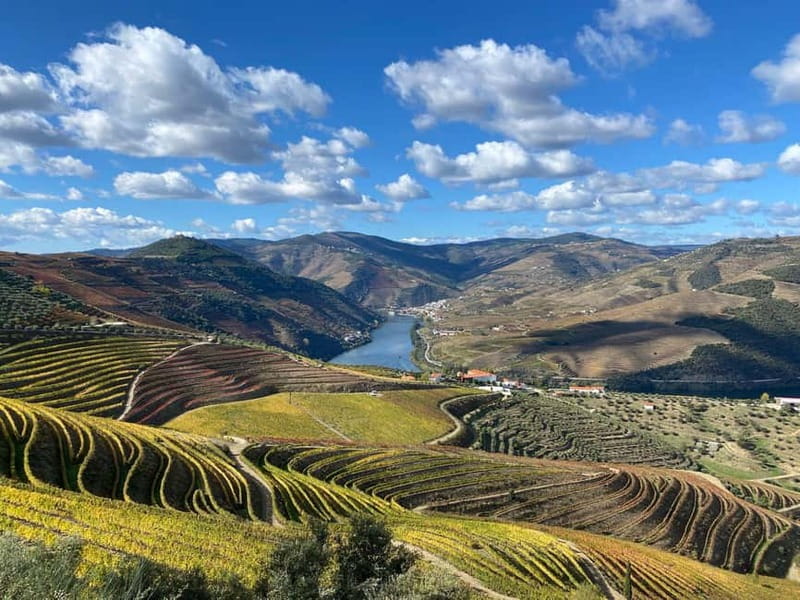 Douro Valley: Small-Group Tour, Winery's Lunch, Private Boat - A generous farm lunch cooked over an open fire