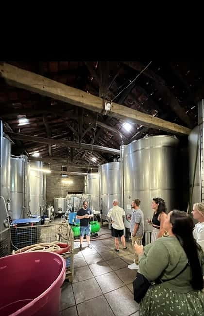Douro Valley: Small-Group Tour, Winery's Lunch, Private Boat - Returning along the N222