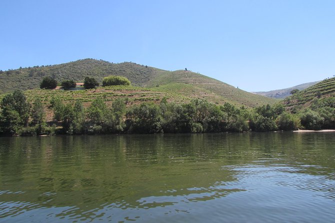 Douro Valley Tour: 2 Vineyard Visits, River Cruise, Winery Lunch - Why this day trip works so well from Porto