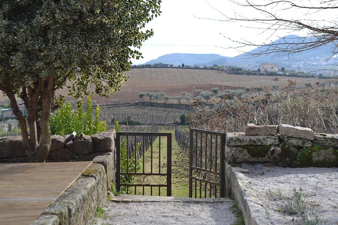 Douro Valley Tour: 2 Vineyard Visits, River Cruise, Winery Lunch - Pinhão by boat, with the valley opening around you