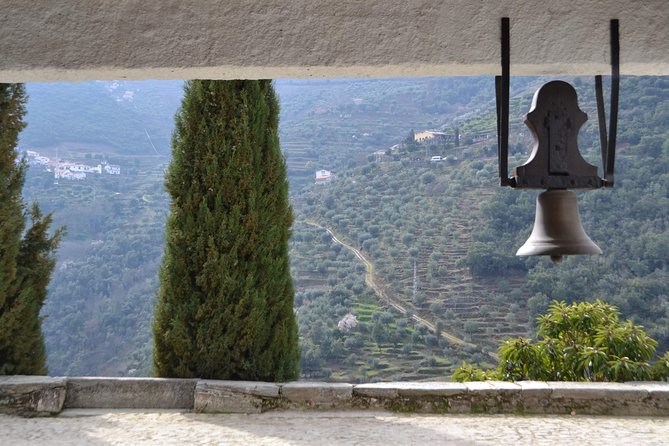 Douro Valley Tour: 2 Vineyard Visits, River Cruise, Winery Lunch - Port in the cellar and a useful contrast between wineries