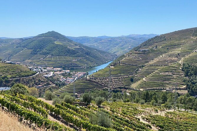 Douro Valley Tour - 3 Wine tastings, Lunch & river Cruise - What your guide adds to the experience