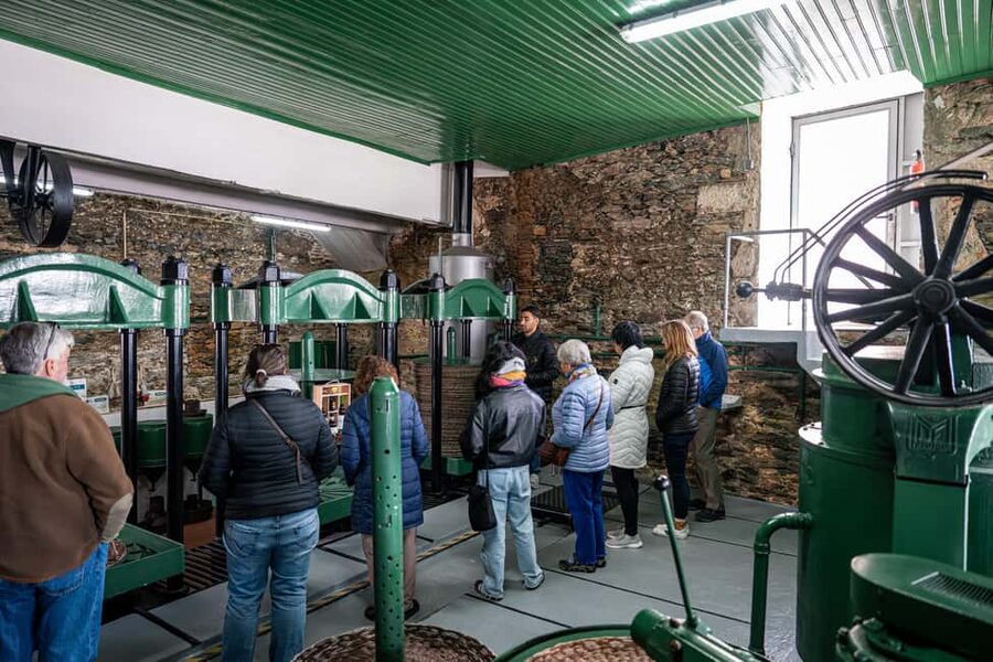 Douro Valley Tour: Visit 2 Wineries, Lunch & River Cruise - A traditional lunch at the right point in the day