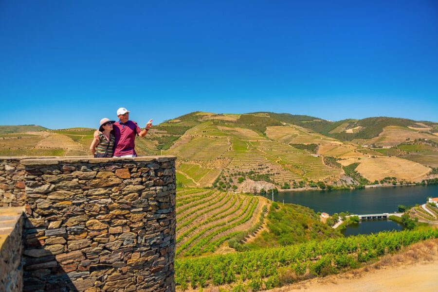 Douro Valley Tour: Visit 2 Wineries, Lunch & River Cruise - Scenic viewpoints and the N222 back to Porto