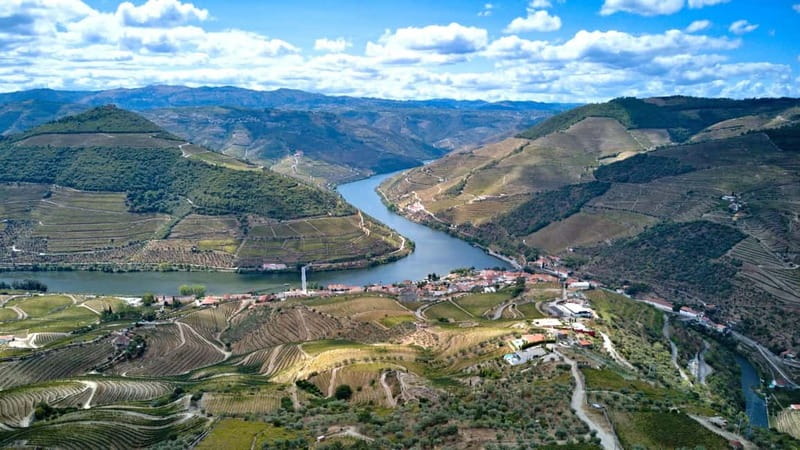 Douro Valley Tour: Visit 2 Wineries, Lunch & River Cruise - The guide can make or break a long day