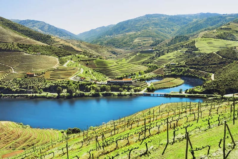 Douro Valley Tour: Visit 2 Wineries, Lunch & River Cruise - The drive from Porto into wine country