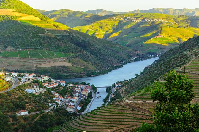 Douro Valley Tour: Wine Tasting, Cruise and Lunch from Porto - Seeing the Douro from the water