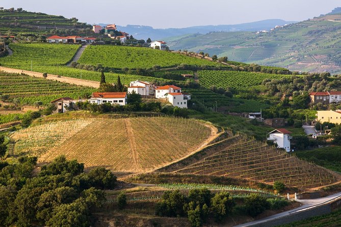 Douro Valley Tour: Wine Tasting, Cruise and Lunch from Porto - Viewpoints, photographs, and the return drive