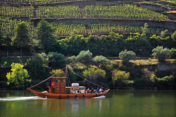 Douro Valley Tour: Wine Tasting, Cruise and Lunch from Porto - The real value at $84.65