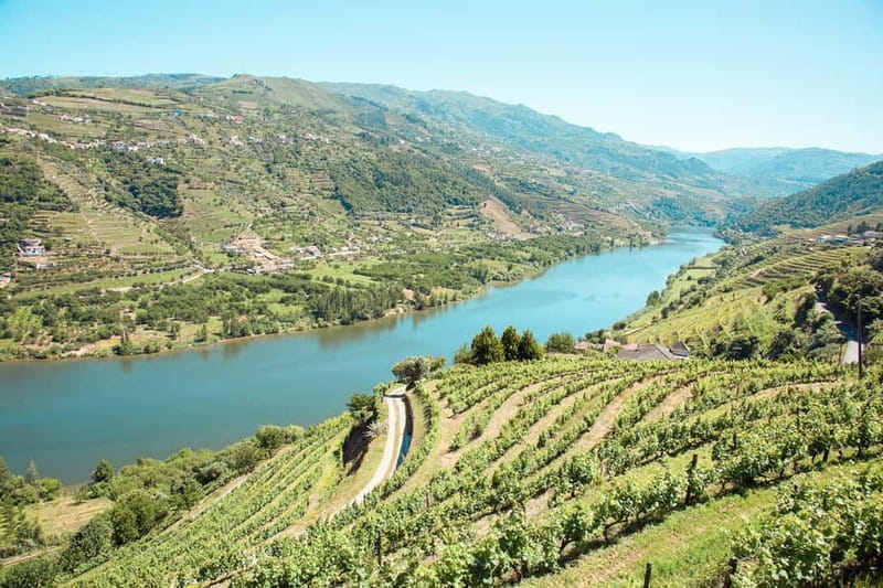 Douro Valley: Tour with Wine Tastings, Lunch, and Boat Ride - Pinhão and an hour on the Douro River