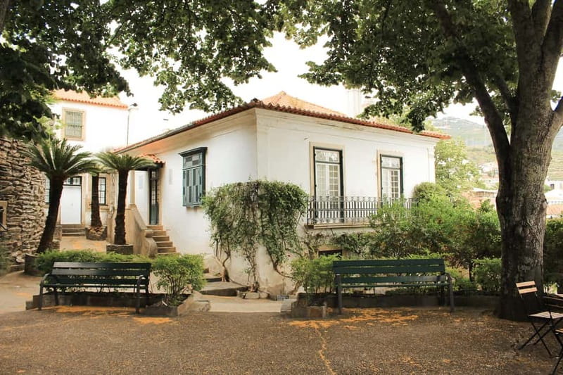 Douro Valley: Tour with Wine Tastings, Lunch, and Boat Ride - The guides make a real difference