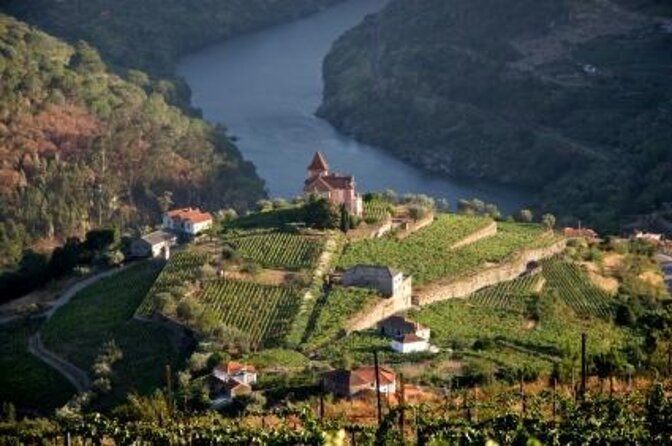 Douro Valley Wine Tour: 3 Vineyard Visits, Wine Tastings, Lunch - Why the Douro Valley makes this a worthwhile day trip